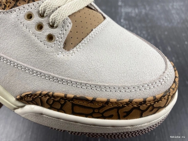 Reps TB Jordan 3 CT8532-102 Air Palomino 0724